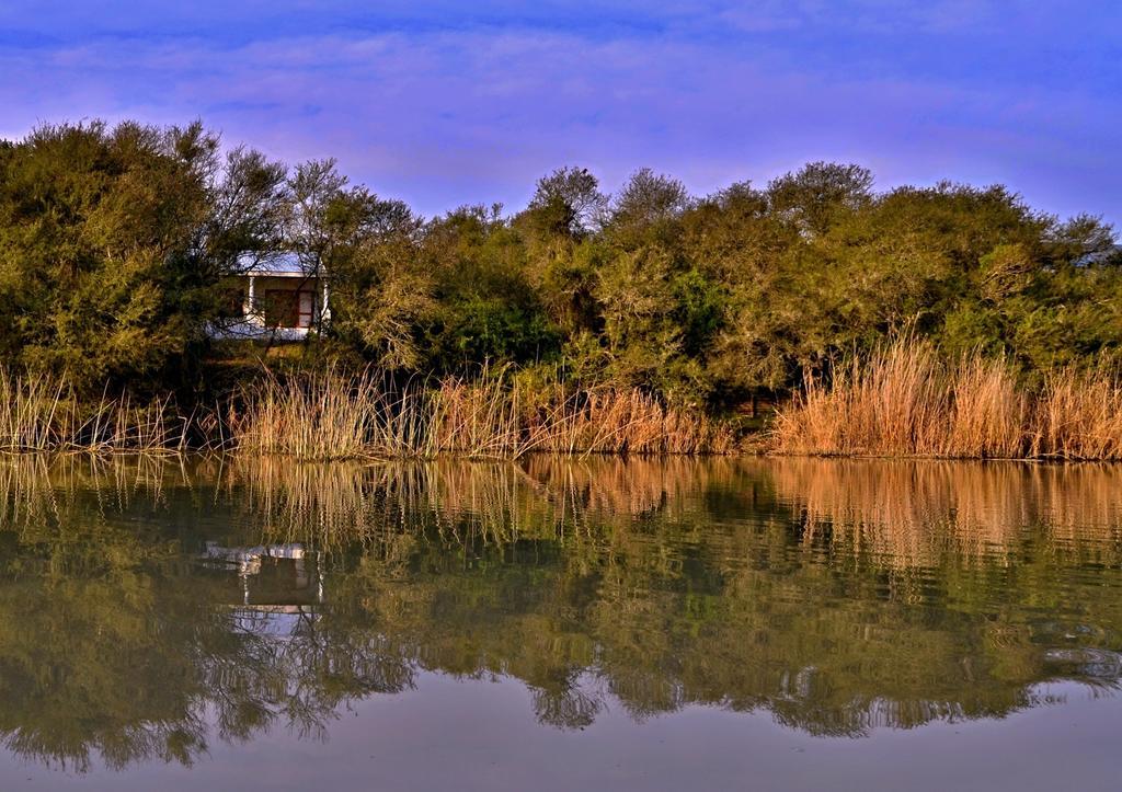 Umlambo River Lodge Kirkwood Екстериор снимка