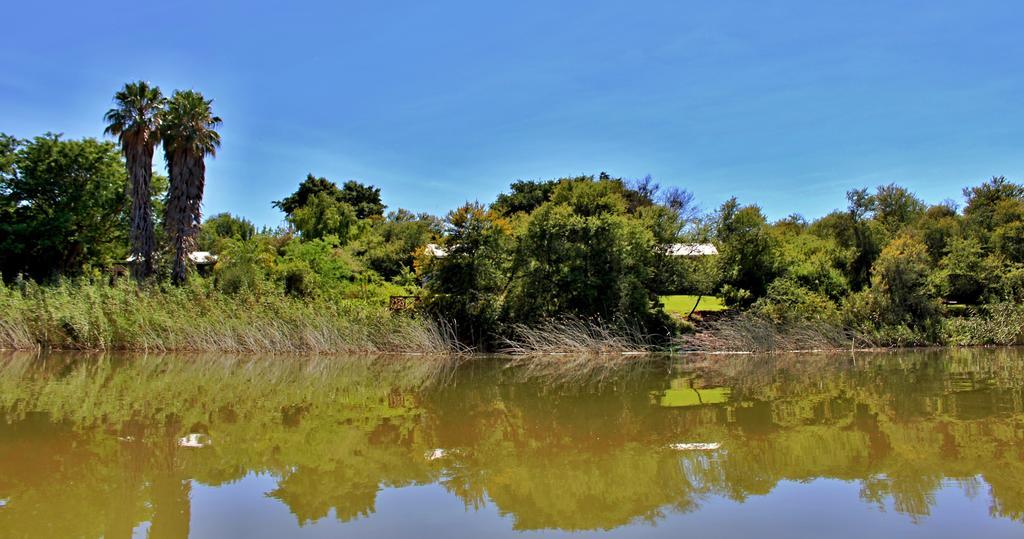 Umlambo River Lodge Kirkwood Екстериор снимка