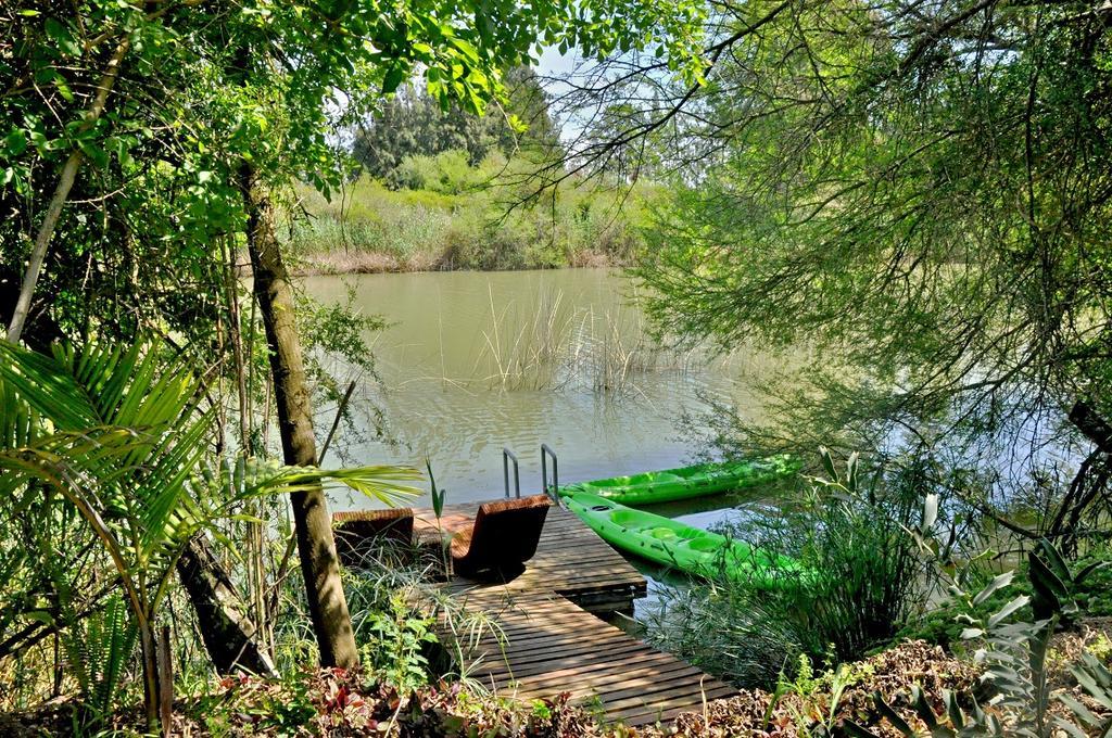 Umlambo River Lodge Kirkwood Екстериор снимка