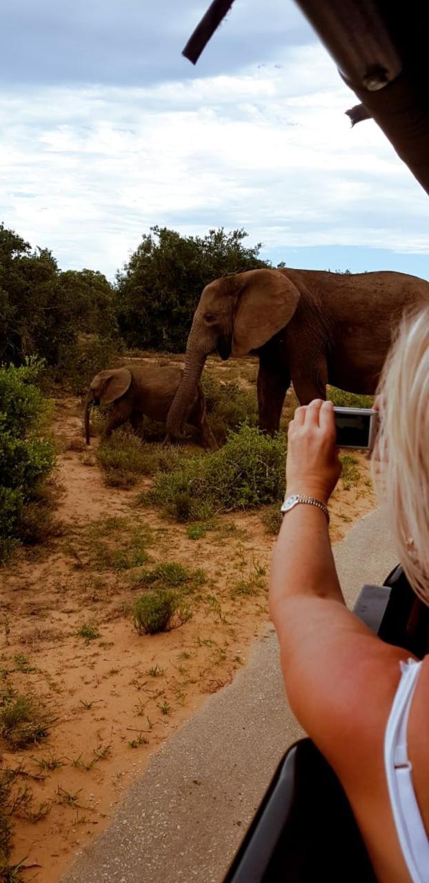 Umlambo River Lodge Kirkwood Екстериор снимка