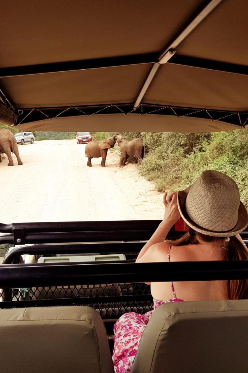 Umlambo River Lodge Kirkwood Екстериор снимка