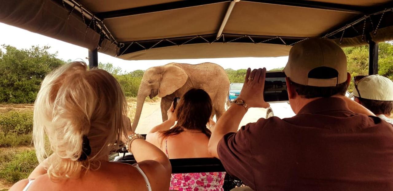 Umlambo River Lodge Kirkwood Екстериор снимка