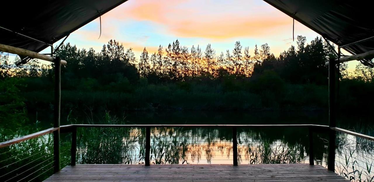 Umlambo River Lodge Kirkwood Екстериор снимка