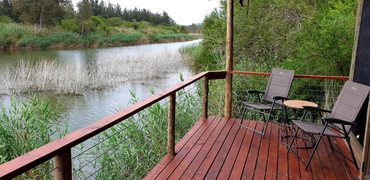 Umlambo River Lodge Kirkwood Екстериор снимка